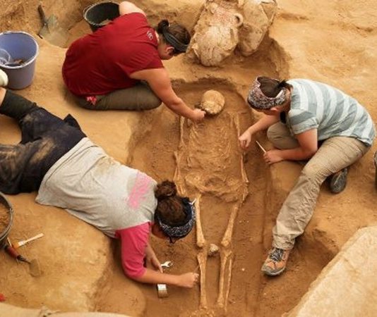 İnsanlık tarihini anlamanın en önemli yollarından biri geçmişten kalan izleri incelemektir. Bu izlerin ortaya çıkarılması ve yorumlanması ise arkeolog olarak bilinen bilim insanlarının çalışmaları sayesinde mümkün olur. Tarih boyunca yaşamış medeniyetlerin yaşam tarzını, kültürünü ve teknolojisini anlamaya yardımcı olan bu meslek, hem bilimsel hem de kültürel açıdan büyük bir öneme sahiptir. Bu nedenle birçok kişi arkeolog kimdir ve arkeolog ne kadar kazanır sorularının yanıtını merak etmektedir. Konulu bir haber görseli