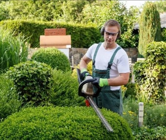 Bahçeler, parklar ve peyzaj alanlarının düzenli, estetik ve sağlıklı kalmasını sağlayan kişi bahçıvan olarak tanımlanır. Bahçıvan kimdir sorusu, hem doğa ile iç içe çalışmayı sevenler hem de profesyonel kariyer arayanlar için sıkça sorulur. Bahçıvan, bitki bakımı, çiçek düzenlemesi, ağaç budama ve peyzaj tasarımı gibi sorumlulukları üstlenir. Aynı zamanda sulama, gübreleme ve zararlı böceklerle mücadele gibi teknik işleri de yürütür. Konulu bir haber görseli.