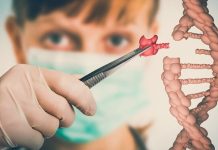Genetik Mühendisi Kimdir? Genetik Mühendisi Ne Kadar Kazanır? Bilim ve teknolojinin gelişmesiyle birlikte biyoloji alanında ortaya çıkan yeni mesleklerden biri de genetik mühendisidir. Günümüzde sağlık, tarım ve biyoteknoloji gibi birçok alanda yapılan araştırmaların merkezinde genetik mühendisliği yer almaktadır. DNA üzerinde yapılan çalışmalar sayesinde hastalıkların daha iyi anlaşılması, yeni tedavi yöntemlerinin geliştirilmesi ve tarımda daha verimli ürünlerin elde edilmesi mümkün hale gelmiştir. Bu çalışmaların arkasında ise laboratuvar ortamında araştırmalar yapan genetik mühendisleri bulunmaktadır. Konulu bir haber görseli.