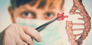 Bilim ve teknolojinin gelişmesiyle birlikte biyoloji alanında ortaya çıkan yeni mesleklerden biri de genetik mühendisidir. Günümüzde sağlık, tarım ve biyoteknoloji gibi birçok alanda yapılan araştırmaların merkezinde genetik mühendisliği yer almaktadır. DNA üzerinde yapılan çalışmalar sayesinde hastalıkların daha iyi anlaşılması, yeni tedavi yöntemlerinin geliştirilmesi ve tarımda daha verimli ürünlerin elde edilmesi mümkün hale gelmiştir. Bu çalışmaların arkasında ise laboratuvar ortamında araştırmalar yapan genetik mühendisleri bulunmaktadır. Konulu bir haber görseli.