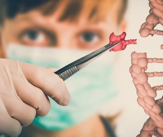 Bilim ve teknolojinin gelişmesiyle birlikte biyoloji alanında ortaya çıkan yeni mesleklerden biri de genetik mühendisidir. Günümüzde sağlık, tarım ve biyoteknoloji gibi birçok alanda yapılan araştırmaların merkezinde genetik mühendisliği yer almaktadır. DNA üzerinde yapılan çalışmalar sayesinde hastalıkların daha iyi anlaşılması, yeni tedavi yöntemlerinin geliştirilmesi ve tarımda daha verimli ürünlerin elde edilmesi mümkün hale gelmiştir. Bu çalışmaların arkasında ise laboratuvar ortamında araştırmalar yapan genetik mühendisleri bulunmaktadır. Konulu bir haber görseli.