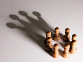 Günümüz iş dünyasında şirketlerin verimli ve sürdürülebilir şekilde faaliyet göstermesi için kritik bir rol üstlenen işletmeci, organizasyonların yönetiminden stratejik kararların alınmasına kadar pek çok alanda görev alır. İşletmelerin büyümesini ve karlılığını artırmak için planlama, koordinasyon ve denetim yapan bu meslek, hem özel sektörde hem de kamu alanında oldukça değerlidir. Peki, işletmeci kimdir, ne iş yapar ve ne kadar kazanır? İşte detaylı bir bakış. Konulu bir haber görseli.