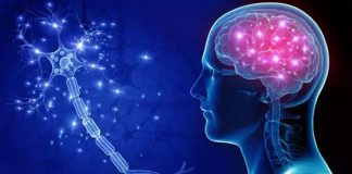 Sağlık alanında merkezi sinir sistemi ve sinir hastalıkları konusunda uzmanlaşan nörolog, beyin, omurilik ve sinirlerle ilgili tanı ve tedavi süreçlerini yürüten kritik bir sağlık profesyonelidir. Nörologlar, hastaların sinir sistemi sağlığını korumak, hastalıkları erken teşhis etmek ve tedavi planları oluşturmakla sorumludur. Bu meslek, tıbbi bilgi, analitik düşünme ve detaylı gözlem yeteneği gerektirir. Konulu bir haber görseli.