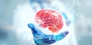 Sağlık sektöründe merkezi sinir sistemi hastalıklarıyla ilgilenen nöroloji uzmanı, beyin, omurilik ve sinirlerin sağlığını koruyan ve tedavi süreçlerini yöneten önemli bir hekim grubudur. Bu uzmanlar, hastaların sinir sistemi problemlerini doğru şekilde teşhis eder, tedavi planları hazırlar ve yaşam kalitesini artırmaya odaklanır. Nöroloji uzmanları, tıbbi bilgi, analiz yeteneği ve dikkat gerektiren bir mesleği icra eder. Konulu bir haber görseli.