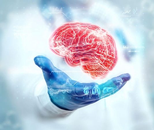 Sağlık sektöründe merkezi sinir sistemi hastalıklarıyla ilgilenen nöroloji uzmanı, beyin, omurilik ve sinirlerin sağlığını koruyan ve tedavi süreçlerini yöneten önemli bir hekim grubudur. Bu uzmanlar, hastaların sinir sistemi problemlerini doğru şekilde teşhis eder, tedavi planları hazırlar ve yaşam kalitesini artırmaya odaklanır. Nöroloji uzmanları, tıbbi bilgi, analiz yeteneği ve dikkat gerektiren bir mesleği icra eder. Konulu bir haber görseli.