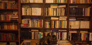 Kitap kültürünü yaşatan ve eski eserleri gün yüzüne çıkaran sahaf, edebiyat dünyasının önemli figürlerinden biridir. Bir sahaf, nadir bulunan kitapları toplar, değerlendirir ve koleksiyonculara sunar. Günümüzde dijital kitap ve yayıncılık sektörü hızla gelişse de, sahaflar klasik kitap meraklıları ve koleksiyoncular için vazgeçilmezdir. Konulu bir haber görseli.