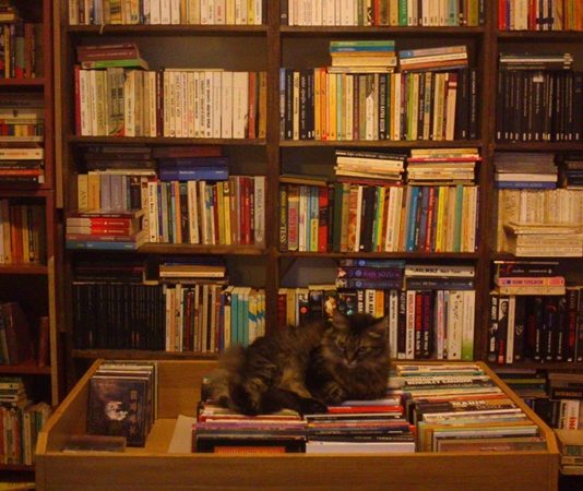 Kitap kültürünü yaşatan ve eski eserleri gün yüzüne çıkaran sahaf, edebiyat dünyasının önemli figürlerinden biridir. Bir sahaf, nadir bulunan kitapları toplar, değerlendirir ve koleksiyonculara sunar. Günümüzde dijital kitap ve yayıncılık sektörü hızla gelişse de, sahaflar klasik kitap meraklıları ve koleksiyoncular için vazgeçilmezdir. Konulu bir haber görseli.