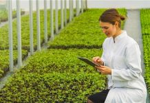 Gıda güvenliği ve tarımsal üretim, modern dünyada giderek daha önemli hale geliyor. Bu süreçte tarım mühendisleri, üretim süreçlerinin planlanması, verimliliğin artırılması ve kaynakların sürdürülebilir şekilde kullanılmasında kritik bir rol üstlenir. Tarım mühendisliği, hem doğal bilimleri hem de teknik becerileri birleştiren bir meslek dalıdır. Konulu bir haber görseli.