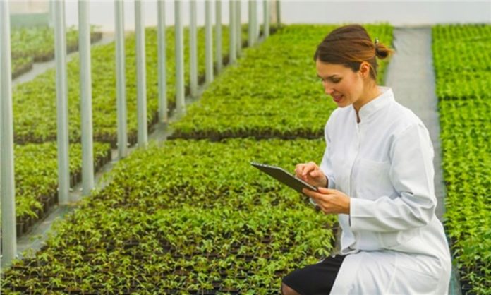Gıda güvenliği ve tarımsal üretim, modern dünyada giderek daha önemli hale geliyor. Bu süreçte tarım mühendisleri, üretim süreçlerinin planlanması, verimliliğin artırılması ve kaynakların sürdürülebilir şekilde kullanılmasında kritik bir rol üstlenir. Tarım mühendisliği, hem doğal bilimleri hem de teknik becerileri birleştiren bir meslek dalıdır. Konulu bir haber görseli.