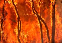 Yangın Söndürme Uzmanı, yangınların önlenmesi, kontrol altına alınması ve söndürülmesi süreçlerinde aktif rol alan, aynı zamanda yangın güvenliği konusunda eğitim ve denetim faaliyetleri yürüten profesyoneldir. Günümüzde artan yapılaşma, sanayi faaliyetleri ve nüfus yoğunluğu nedeniyle Yangın Söndürme Uzmanı mesleği her zamankinden daha önemli hale gelmiştir. Bu meslek, hem insan hayatını hem de maddi varlıkları korumayı amaçlayan kritik bir görev üstlenir. Konulu bir haber görseli.