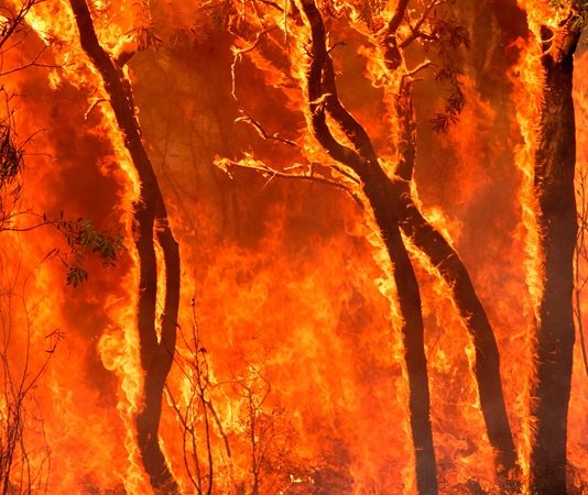Yangın Söndürme Uzmanı, yangınların önlenmesi, kontrol altına alınması ve söndürülmesi süreçlerinde aktif rol alan, aynı zamanda yangın güvenliği konusunda eğitim ve denetim faaliyetleri yürüten profesyoneldir. Günümüzde artan yapılaşma, sanayi faaliyetleri ve nüfus yoğunluğu nedeniyle Yangın Söndürme Uzmanı mesleği her zamankinden daha önemli hale gelmiştir. Bu meslek, hem insan hayatını hem de maddi varlıkları korumayı amaçlayan kritik bir görev üstlenir. Konulu bir haber görseli.