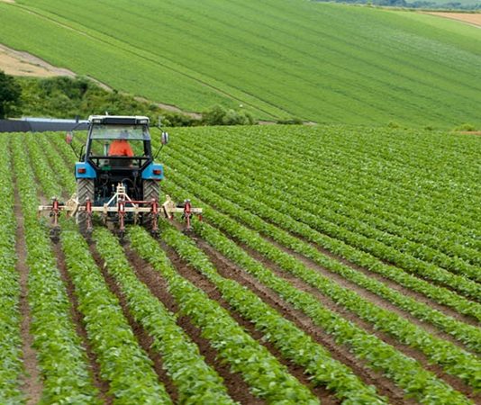 Tarım sektörü, gıda güvenliği ve üretim açısından hayati bir öneme sahiptir. Bu sürecin en kritik unsurlarından biri de üretimin planlanması, uygulanması ve takip edilmesidir. İşte bu noktada ziraat teknisyeni devreye girer. Tarım alanında hem teorik bilgiye hem de uygulamalı deneyime sahip olan bu meslek grubu, tarımsal üretimin verimli ve sürdürülebilir olmasını sağlar. Konulu bir haber görseli.