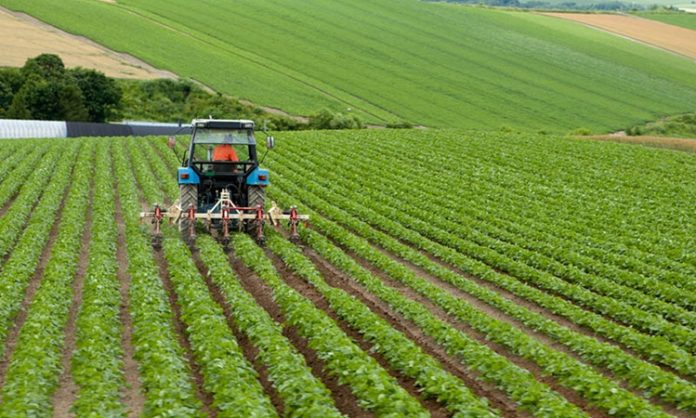 Tarım sektörü, gıda güvenliği ve üretim açısından hayati bir öneme sahiptir. Bu sürecin en kritik unsurlarından biri de üretimin planlanması, uygulanması ve takip edilmesidir. İşte bu noktada ziraat teknisyeni devreye girer. Tarım alanında hem teorik bilgiye hem de uygulamalı deneyime sahip olan bu meslek grubu, tarımsal üretimin verimli ve sürdürülebilir olmasını sağlar. Konulu bir haber görseli.